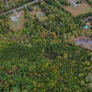 Photo #9 of BEECH TREE ROAD, ORANGE, VA 12.9 acres