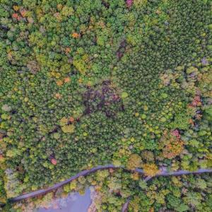 Photo #8 of BEECH TREE ROAD, ORANGE, VA 12.9 acres