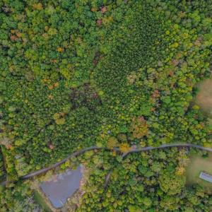 Photo #12 of BEECH TREE ROAD, ORANGE, VA 12.9 acres