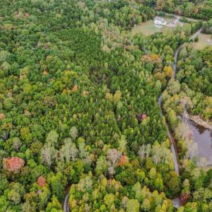 Photo #15 of BEECH TREE ROAD, ORANGE, VA 12.9 acres