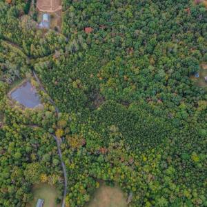 Photo #14 of BEECH TREE ROAD, ORANGE, VA 12.9 acres