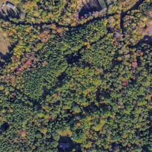 Photo #17 of BEECH TREE ROAD, ORANGE, VA 12.9 acres