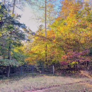 Photo #3 of BEECH TREE ROAD, ORANGE, VA 12.9 acres