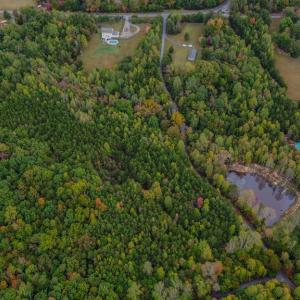 Photo #10 of BEECH TREE ROAD, ORANGE, VA 12.9 acres