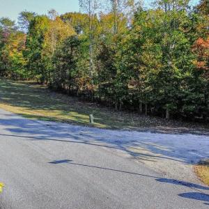 Photo #6 of BEECH TREE ROAD, ORANGE, VA 12.9 acres