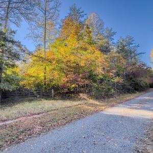 Photo #1 of BEECH TREE ROAD, ORANGE, VA 12.9 acres
