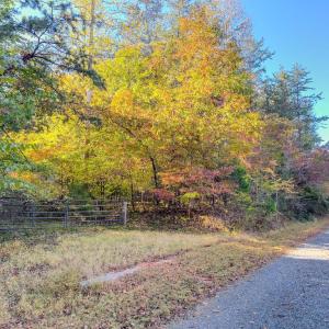 Photo #7 of BEECH TREE ROAD, ORANGE, VA 12.9 acres