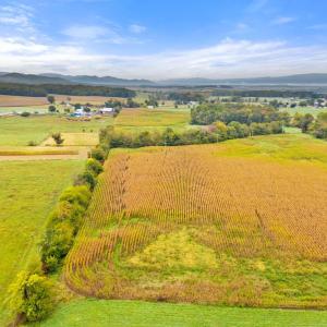 Photo #14 of FAIRVIEW RD, LURAY, VA 26.9 acres