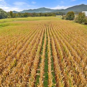 Photo #8 of FAIRVIEW RD, LURAY, VA 26.9 acres