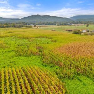 Photo #11 of FAIRVIEW RD, LURAY, VA 26.9 acres