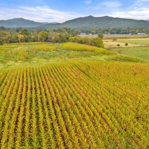 Photo #12 of FAIRVIEW RD, LURAY, VA 26.9 acres