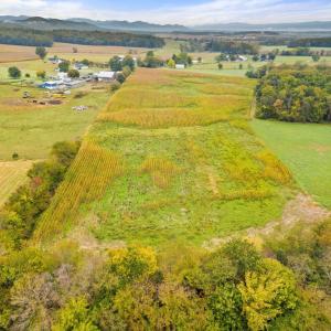 Photo #15 of FAIRVIEW RD, LURAY, VA 26.9 acres