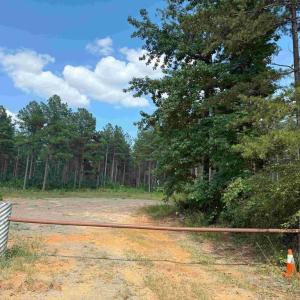 Photo #1 of HOLLAND ROAD (TRACT: JR BEDFORD-BOWLES_SIMS-2), COLUMBIA, VA 64.4 acres