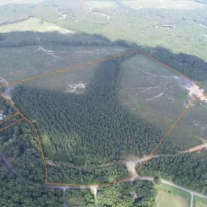 Photo #3 of HOLLAND ROAD (TRACT: JR BEDFORD-BOWLES_SIMS-2), COLUMBIA, VA 64.4 acres