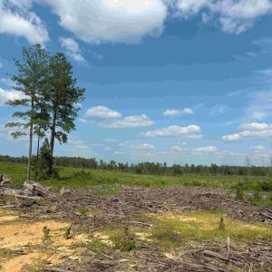 Photo #10 of HOLLAND ROAD (TRACT: JR BEDFORD-BOWLES_SIMS-2), COLUMBIA, VA 64.4 acres