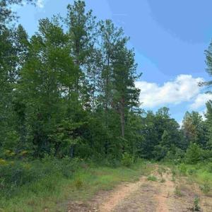 Photo #7 of HOLLAND ROAD (TRACT: JR BEDFORD-BOWLES_SIMS-4), COLUMBIA, VA 94.1 acres