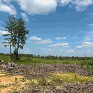 Photo #10 of HOLLAND ROAD (TRACT: JR BEDFORD-BOWLES_SIMS-4), COLUMBIA, VA 94.1 acres