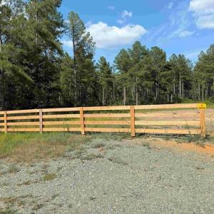 Photo #13 of DOGWOOD DRIVE (TRACT: JR BEDFORD-BOWLES_SIMS-3), COLUMBIA, VA 61.5 acres