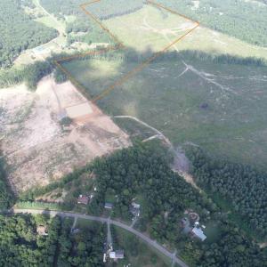 Photo #2 of DOGWOOD DRIVE (TRACT: JR BEDFORD-BOWLES_SIMS-3), COLUMBIA, VA 60.9 acres