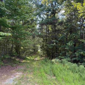 Photo #3 of DOGWOOD DRIVE (TRACT: JR BEDFORD-BOWLES_SIMS-3), COLUMBIA, VA 60.9 acres