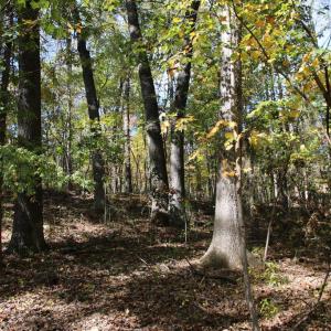 Photo #1 of RIVER VIEW PL, SHENANDOAH, VA 3.0 acres