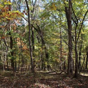 Photo #2 of RIVER VIEW PL, SHENANDOAH, VA 3.0 acres