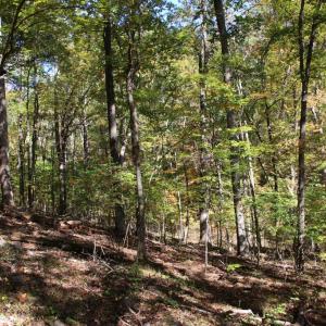 Photo #3 of RIVER VIEW PL, SHENANDOAH, VA 3.0 acres