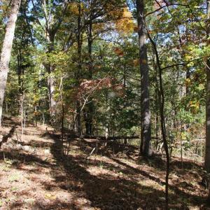 Photo #7 of RIVER VIEW PL, SHENANDOAH, VA 3.0 acres