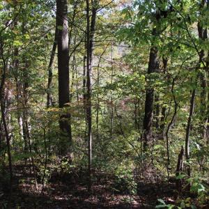 Photo #8 of RIVER VIEW PL, SHENANDOAH, VA 3.0 acres