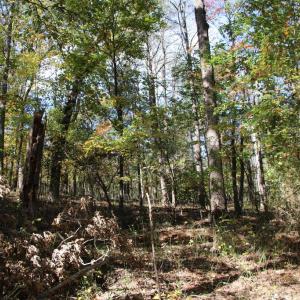 Photo #9 of RIVER VIEW PL, SHENANDOAH, VA 3.0 acres