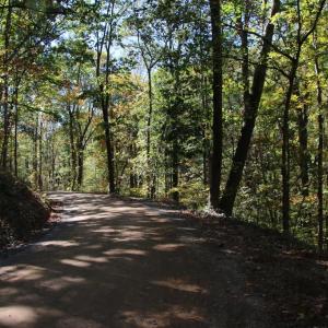 Photo #15 of RIVER VIEW PL, SHENANDOAH, VA 3.0 acres