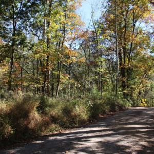 Photo #16 of RIVER VIEW PL, SHENANDOAH, VA 3.0 acres