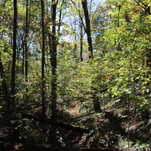 Photo #17 of RIVER VIEW PL, SHENANDOAH, VA 3.0 acres