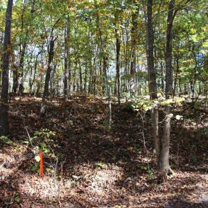 Photo #18 of RIVER VIEW PL, SHENANDOAH, VA 3.0 acres