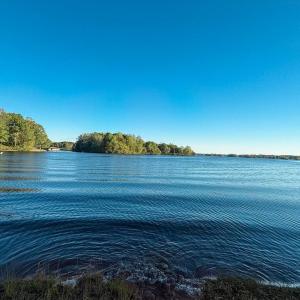 Photo #9 of 3819 BREAKNOCK RD, BUMPASS, VA 4.5 acres