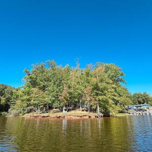 Photo #10 of 3819 BREAKNOCK RD, BUMPASS, VA 4.5 acres