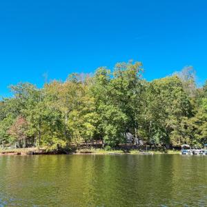 Photo #13 of 3819 BREAKNOCK RD, BUMPASS, VA 4.5 acres