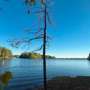 Photo #5 of 3819 BREAKNOCK RD, BUMPASS, VA 4.5 acres