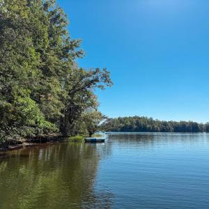 Photo #12 of 3819 BREAKNOCK RD, BUMPASS, VA 4.5 acres