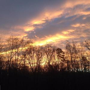 Photo #4 of REVA, REVA, VA 3.1 acres