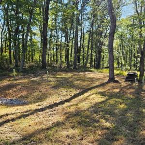 Photo #3 of SHARP ROCK ROAD, SPERRYVILLE, VA 11.5 acres