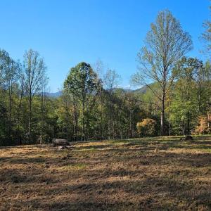 Photo #4 of SHARP ROCK ROAD, SPERRYVILLE, VA 11.5 acres