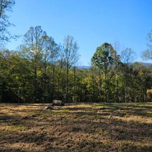 Photo #5 of SHARP ROCK ROAD, SPERRYVILLE, VA 11.5 acres