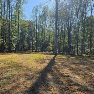 Photo #6 of SHARP ROCK ROAD, SPERRYVILLE, VA 11.5 acres