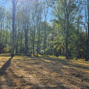 Photo #7 of SHARP ROCK ROAD, SPERRYVILLE, VA 11.5 acres