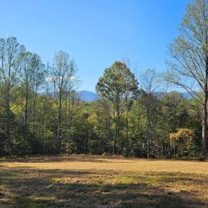 Photo #10 of SHARP ROCK ROAD, SPERRYVILLE, VA 11.5 acres