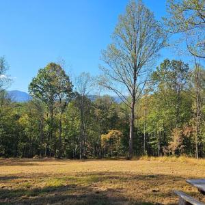 Photo #11 of SHARP ROCK ROAD, SPERRYVILLE, VA 11.5 acres