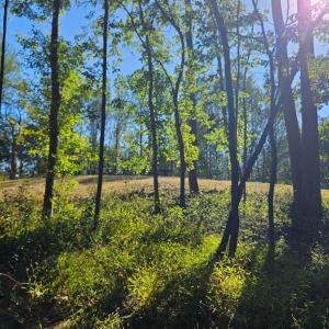 Photo #14 of SHARP ROCK ROAD, SPERRYVILLE, VA 11.5 acres