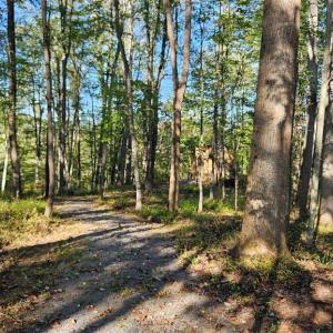 Photo #15 of SHARP ROCK ROAD, SPERRYVILLE, VA 11.5 acres