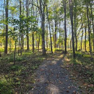 Photo #20 of SHARP ROCK ROAD, SPERRYVILLE, VA 11.5 acres